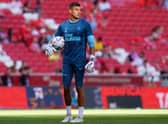 Newcastle United goalkeeper Karl Darlow. (Photo by Gualter Fatia/Getty Images)