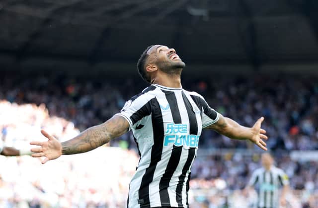 Newcastle United striker Callum Wilson. (Photo by Clive Brunskill/Getty Images)