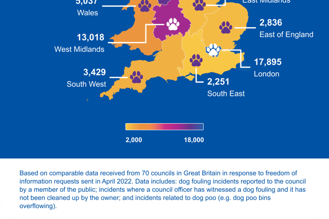Petplan’s analysis looked at incidents between 2017 and 2021.