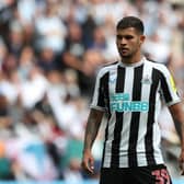 Newcastle United midfielder Bruno Guimaraes.  (Photo by Jan Kruger/Getty Images)
