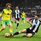 Newcastle United defender Federico Fernandez.  (Photo by OLI SCARFF/AFP via Getty Images)