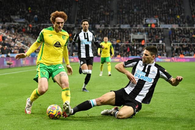 Newcastle United defender Federico Fernandez. (Photo by OLI SCARFF/AFP via Getty Images)