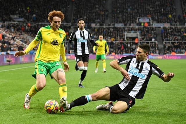 Newcastle United defender Federico Fernandez.  (Photo by OLI SCARFF/AFP via Getty Images)