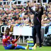 Crystal Palace boss Patrick Vieira. (Photo by Jan Kruger/Getty Images)