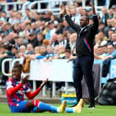 Crystal Palace boss Patrick Vieira. (Photo by Jan Kruger/Getty Images)