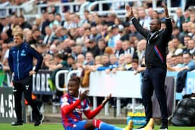 Crystal Palace boss Patrick Vieira. (Photo by Jan Kruger/Getty Images)