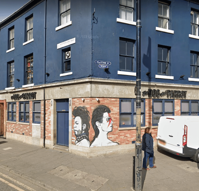 The Dog and Parrot in Newcastle (Image: Google Streetview)