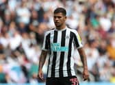 Newcastle United midfielder Bruno Guimaraes.  (Photo by Jan Kruger/Getty Images)