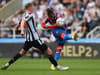 Wilfried Zaha and the transfers Newcastle United are tipped to complete in January