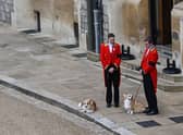 Queen Elizabeth II’s corgis watched on as Her Majesty’s coffin arrived at Windsor Castle for the Committal service on Monday 19 September.
