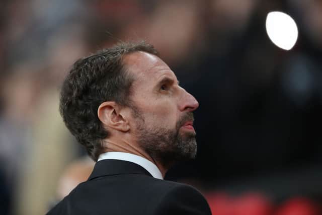Wilson urged fans to get behind Gareth Southgate (Image: Getty Images) 