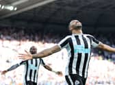 Newcastle United striker Callum Wilson. (Photo by Clive Brunskill/Getty Images)