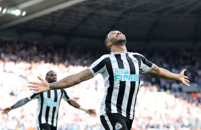 Newcastle United striker Callum Wilson. (Photo by Clive Brunskill/Getty Images)