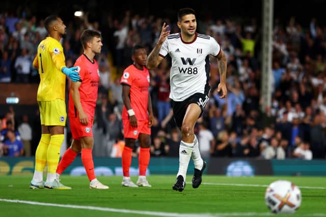 Fulham’s former Newcastle United striker Aleksander Mitrovic. (Photo by Bryn Lennon/Getty Images)