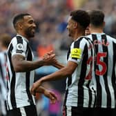 Callum Wilson is part of a “leadership group” at Newcastle (Image: Getty Images)