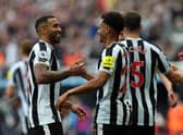 Callum Wilson is part of a “leadership group” at Newcastle (Image: Getty Images)