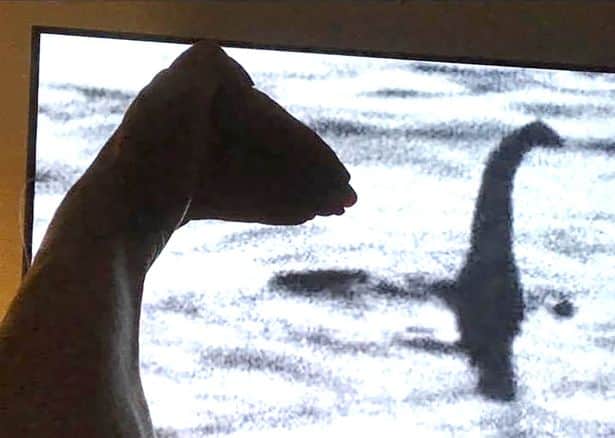 Sue Keogh thinks that she’s solved the Loch Ness Monster mystery - what do you think?