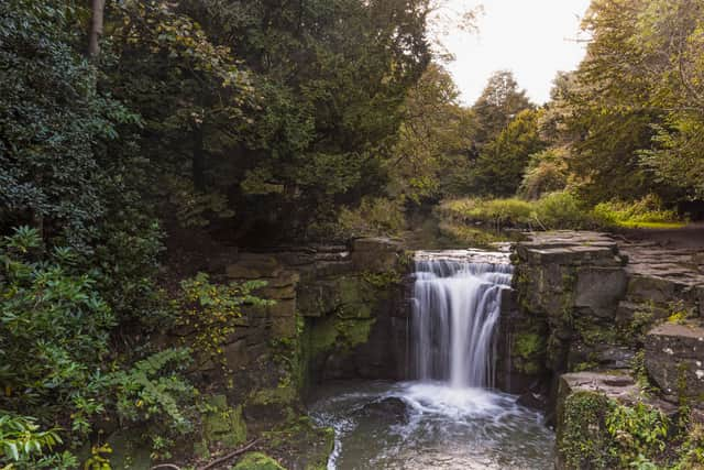 Jesmond Dene