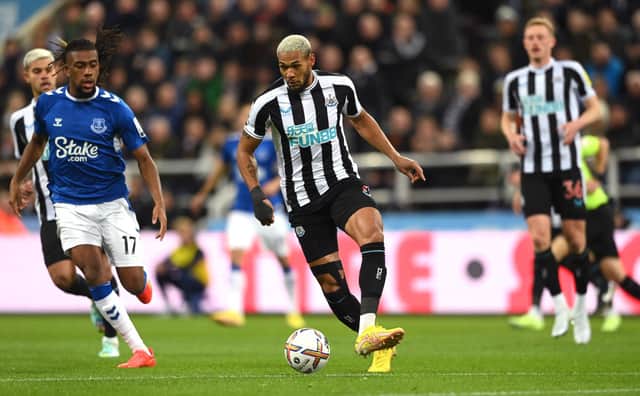 Newcastle United midfielder Joelinton. (Photo by Stu Forster/Getty Images)