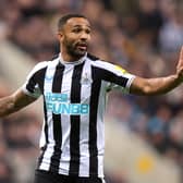 Newcastle United striker Callum Wilson. (Photo by George Wood/Getty Images)