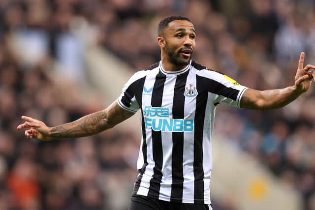 Newcastle United striker Callum Wilson. (Photo by George Wood/Getty Images)