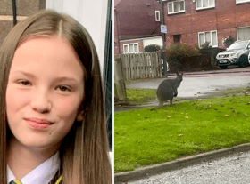 This is the bizarre moment schoolgirl Cia Christie spotted a wallaby hopping down a street in Gateshead