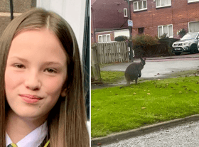 This is the bizarre moment schoolgirl Cia Christie spotted a wallaby hopping down a street in Gateshead