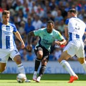 Callum Wilson led the line at the Amex Stadium earlier this year (Image: Getty Images)