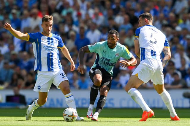 Callum Wilson led the line at the Amex Stadium earlier this year (Image: Getty Images)