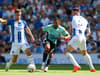 ‘It was too funny’: Callum Wilson admits to cheeky prank on keeper when Newcastle played Brighton