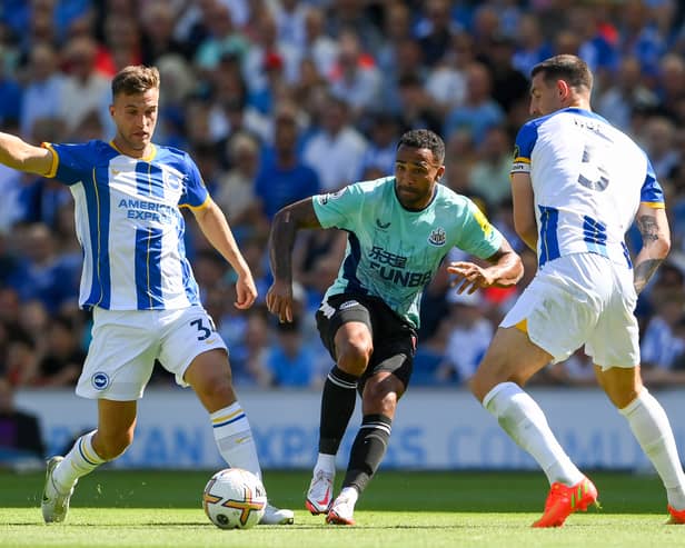 Callum Wilson led the line at the Amex Stadium earlier this year (Image: Getty Images)