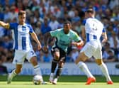 Callum Wilson led the line at the Amex Stadium earlier this year (Image: Getty Images)