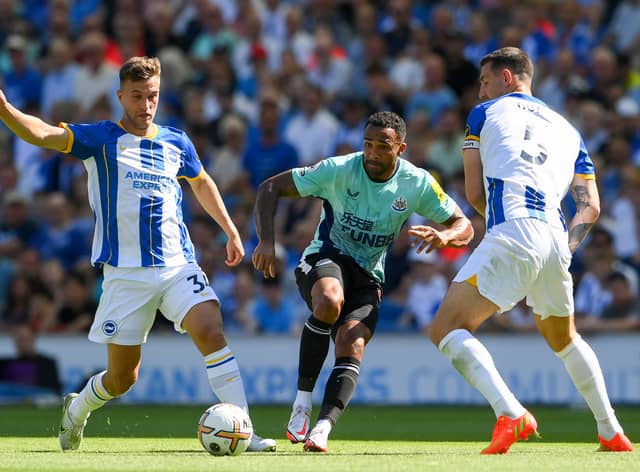 Callum Wilson led the line at the Amex Stadium earlier this year (Image: Getty Images)