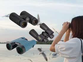 Best binoculars 2022 for birdwatching and nature hikes 