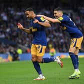 Wilson made the most of Lloris’ mistake