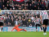 Former Premier League referee responds to Ashley Young’s Newcastle United penalty groan