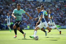 Leandro Trossard of Brighton & Hove Albion takes a shot under pressure from Fabian Schar of Newcastle United  (Photo by Steve Bardens/Getty Images)