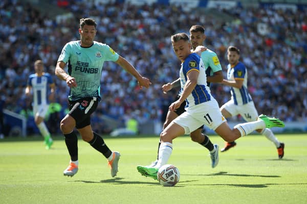 Leandro Trossard of Brighton & Hove Albion takes a shot under pressure from Fabian Schar of Newcastle United  (Photo by Steve Bardens/Getty Images)