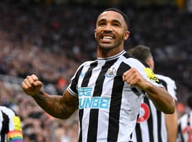 Newcastle United striker Callum Wilson. (Photo by Stu Forster/Getty Images)