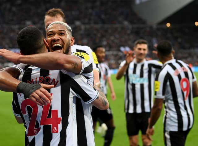 Newcastle United star Joelinton. (Photo by Stu Forster/Getty Images)