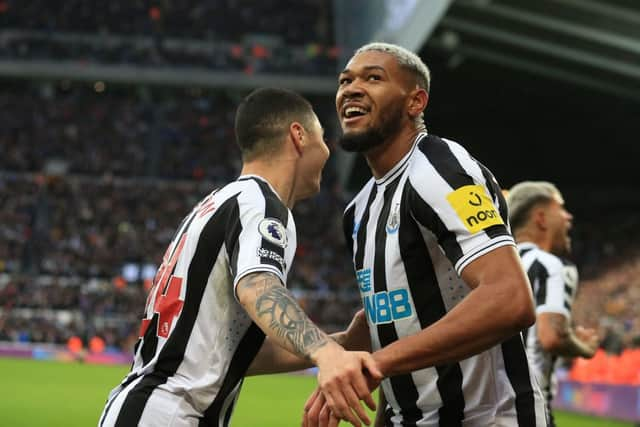 Newcastle United midfielder Joelinton.  (Photo by LINDSEY PARNABY/AFP via Getty Images)