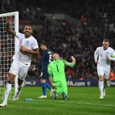 Callum Wilson is hopeful of a place in the squad (Image: Getty Images)