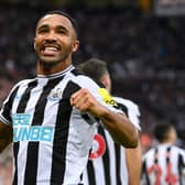 Newcastle United striker Callum Wilson. (Photo by Stu Forster/Getty Images)