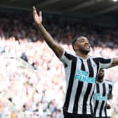 Newcastle United striker Callum Wilson. (Photo by Clive Brunskill/Getty Images)