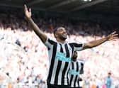 Newcastle United striker Callum Wilson. (Photo by Clive Brunskill/Getty Images)