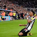 Joe Willock of Newcastle United celebrates after scoring their team’s first goal during the Premier League match between Newcastle United and Chelsea FC at St. James Park on November 12, 2022 in Newcastle upon Tyne, England. 