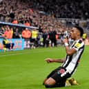 Joe Willock of Newcastle United celebrates after scoring their team’s first goal during the Premier League match between Newcastle United and Chelsea FC at St. James Park on November 12, 2022 in Newcastle upon Tyne, England. 