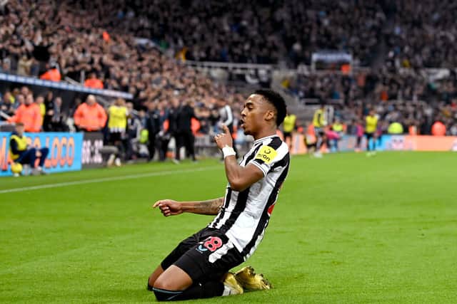 Joe Willock of Newcastle United celebrates after scoring their team’s first goal during the Premier League match between Newcastle United and Chelsea FC at St. James Park on November 12, 2022 in Newcastle upon Tyne, England. 
