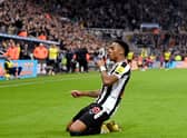 Joe Willock of Newcastle United celebrates after scoring their team’s first goal during the Premier League match between Newcastle United and Chelsea FC at St. James Park on November 12, 2022 in Newcastle upon Tyne, England. 