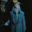 Michael Gambon as Dumbledore